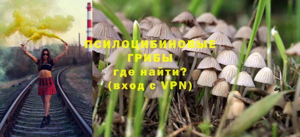 синтетический гашиш Алексин