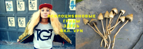 крисы Абдулино