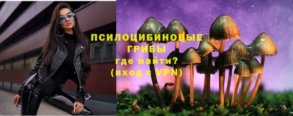 синтетический гашиш Алексин