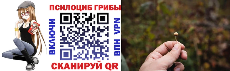 купить закладку  Уварово  Галлюциногенные грибы Magic Shrooms 