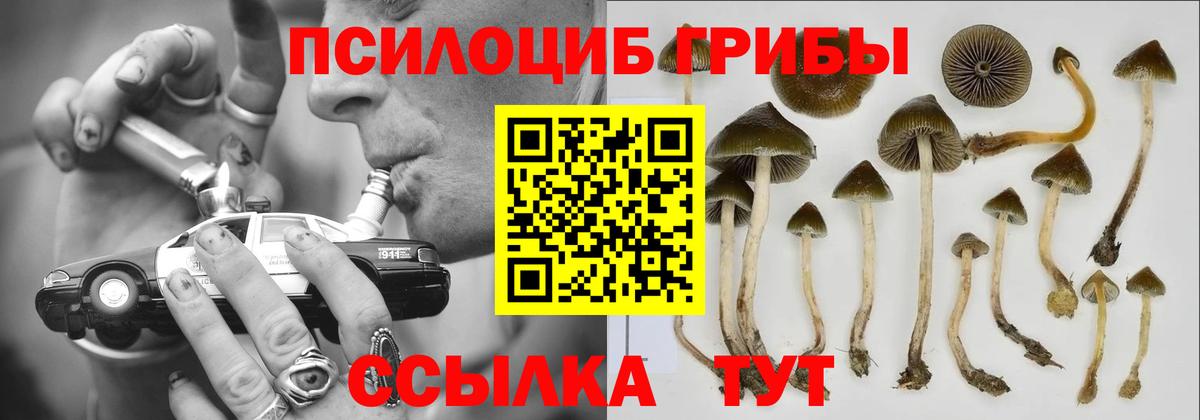 Уварово  Галлюциногенные грибы Magic Shrooms  Вход с VPN  Псилоцибиновые грибы ЛСД 
